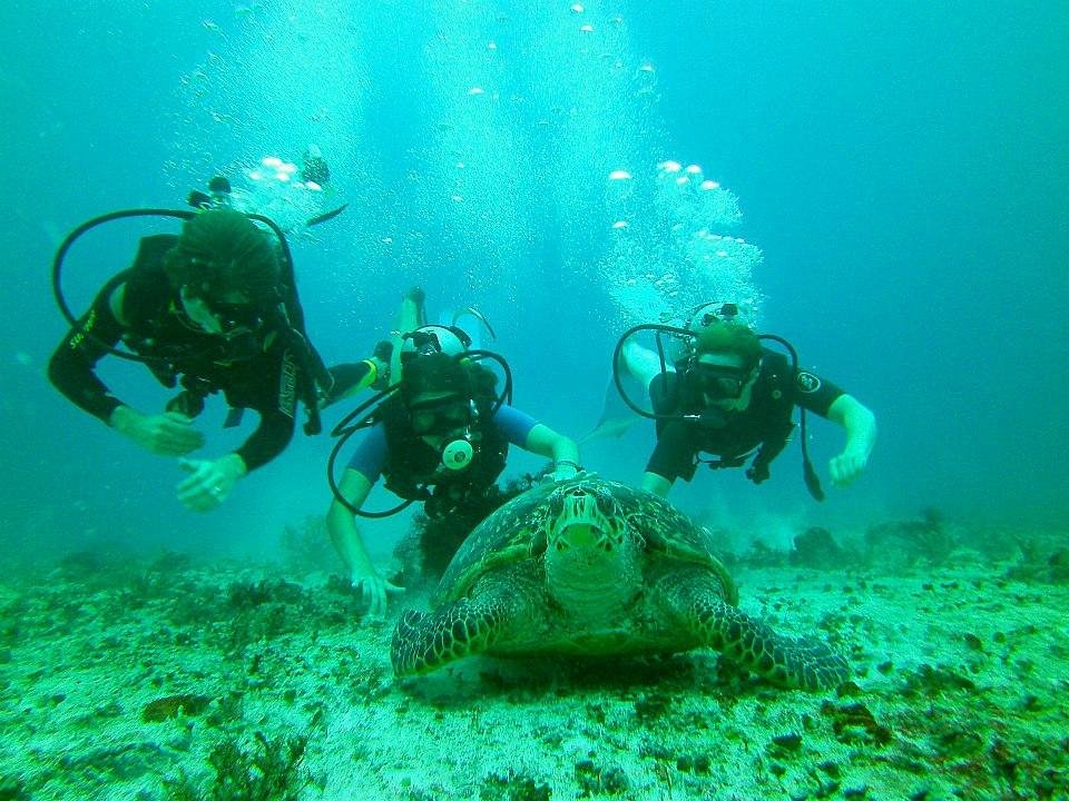 tulum diving and travel