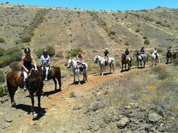 Imagen 3 de Rutas ecuestres El Salobre Horse Riding