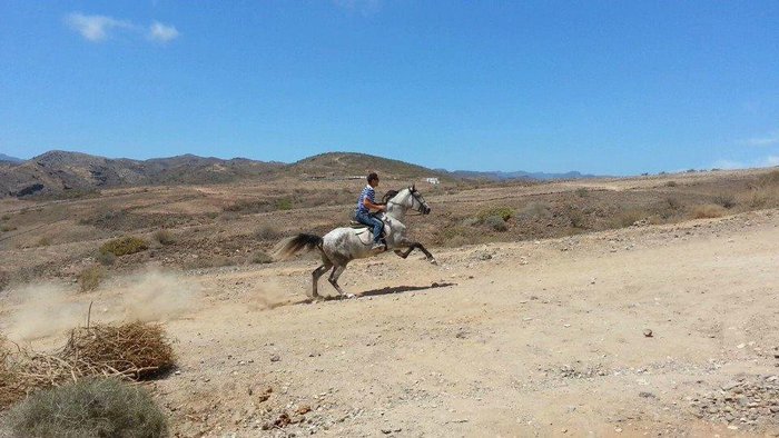 Imagen 2 de Rutas ecuestres El Salobre Horse Riding