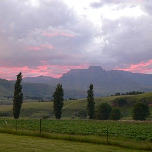Berg view