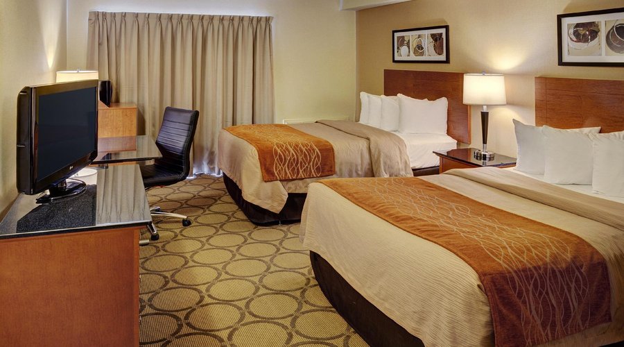 New Guest Rooms