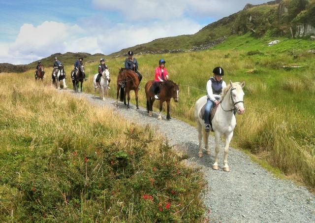 Pony trekking hotsell near me