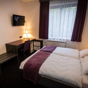 Double or twin room