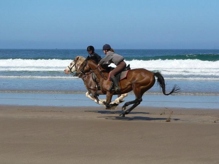 THE 10 BEST England Equestrian Trails Updated 2024 Tripadvisor