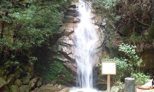 滝