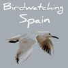Birdwatching Sp... P
