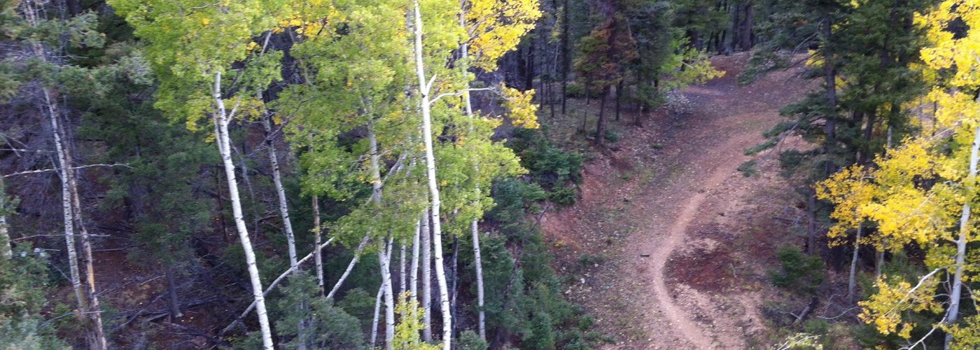 From the Chair Lift in September