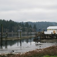 Oregon Oyster Farms - All You Need to Know BEFORE You Go (2024)