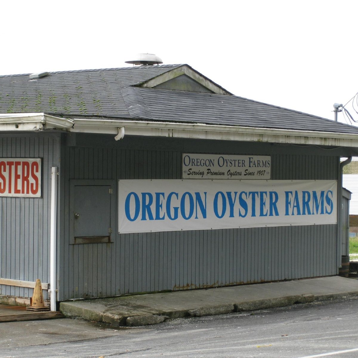 oregon-oyster-farms-newport-tutto-quello-che-c-da-sapere