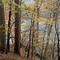 Witch Hazel Bluff
