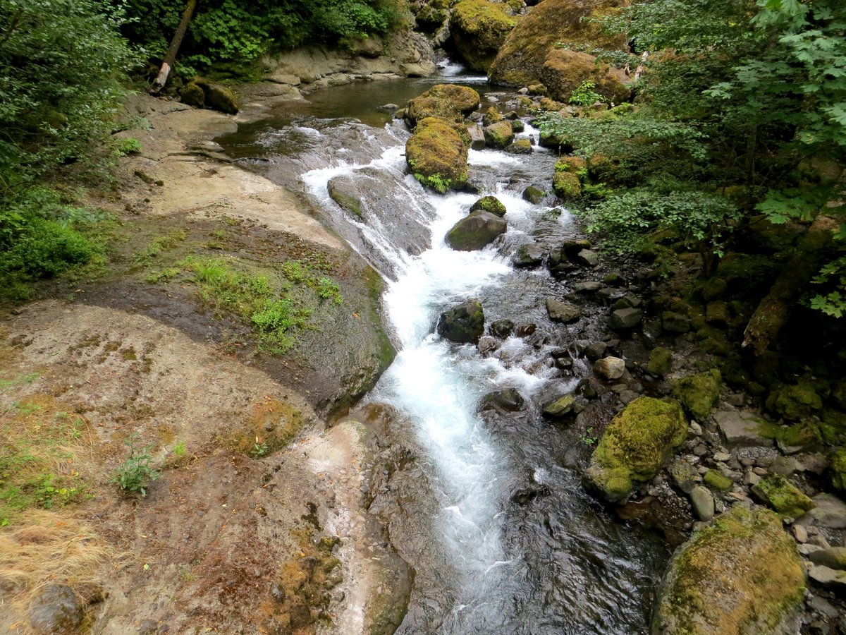 Wahclella Falls (Portland) - All You Need to Know BEFORE You Go