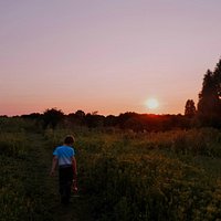 whetmead nature reserve witham
