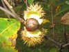 nature55_13
