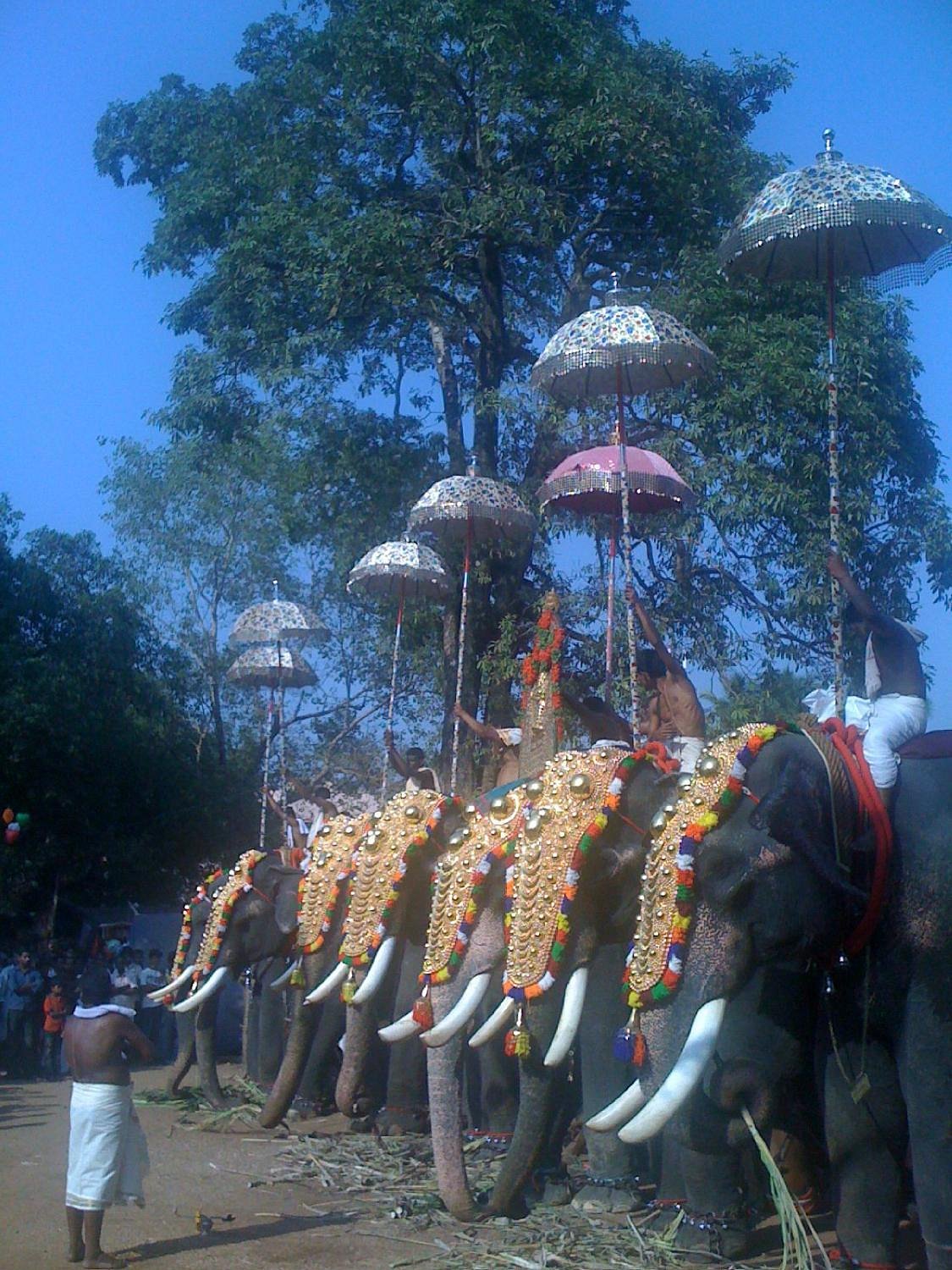 kodungallur-bhagavathi-temple