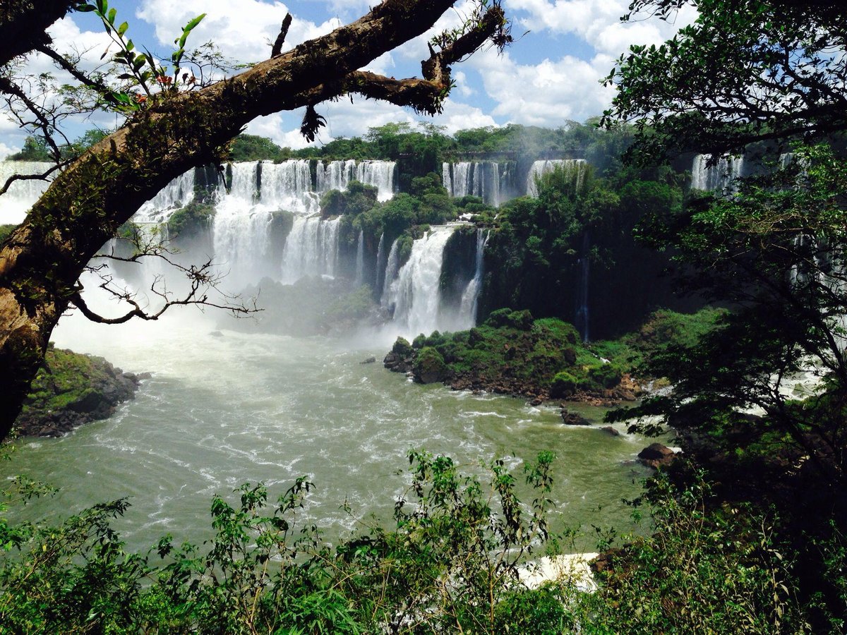 Iguazu Jungle - All You Need to Know BEFORE You Go (2024)