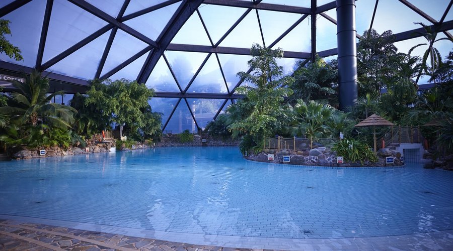Subtropical Swimming Paradise
