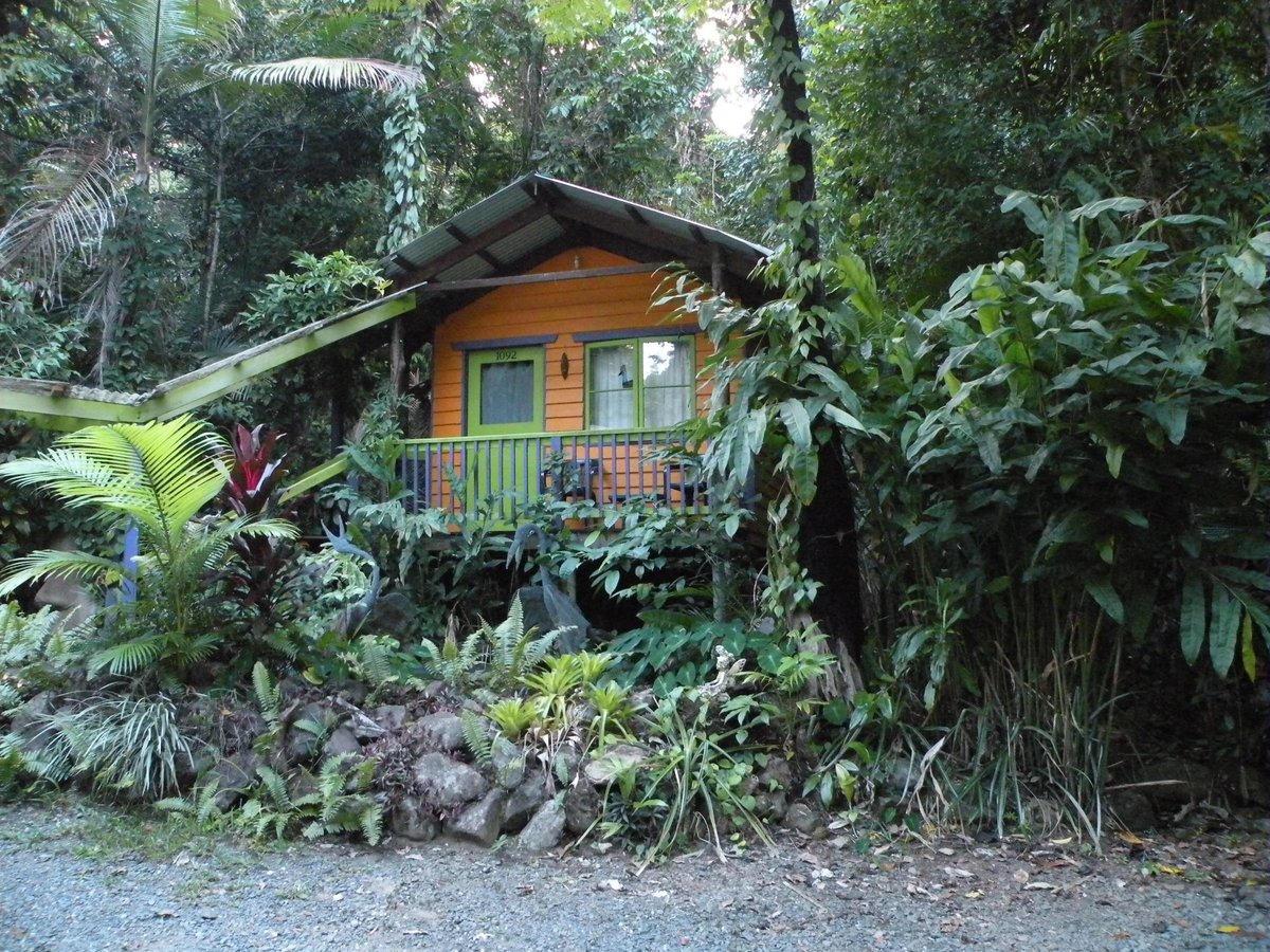 Rainforest Hideaway Rooms: Pictures & Reviews - Tripadvisor