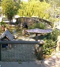 love the bridge