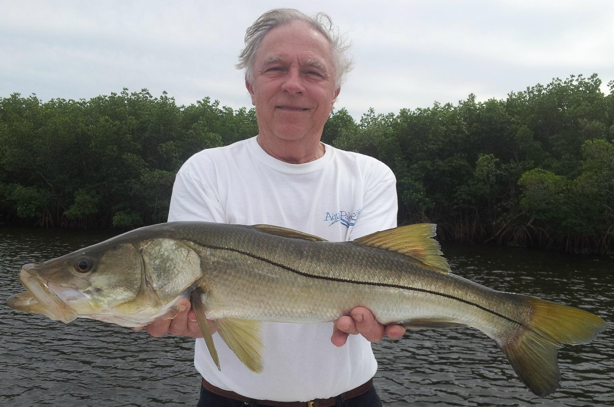 Tampa Fishing Charters - All You Need to Know BEFORE You Go