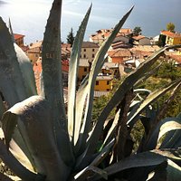 Belvedere di Torbole uno spettacolo unico ed irripetibile!