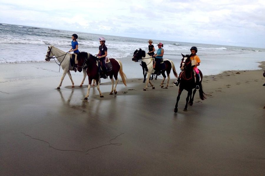 Costa Rica Equestrian Vacations - Day Programs image