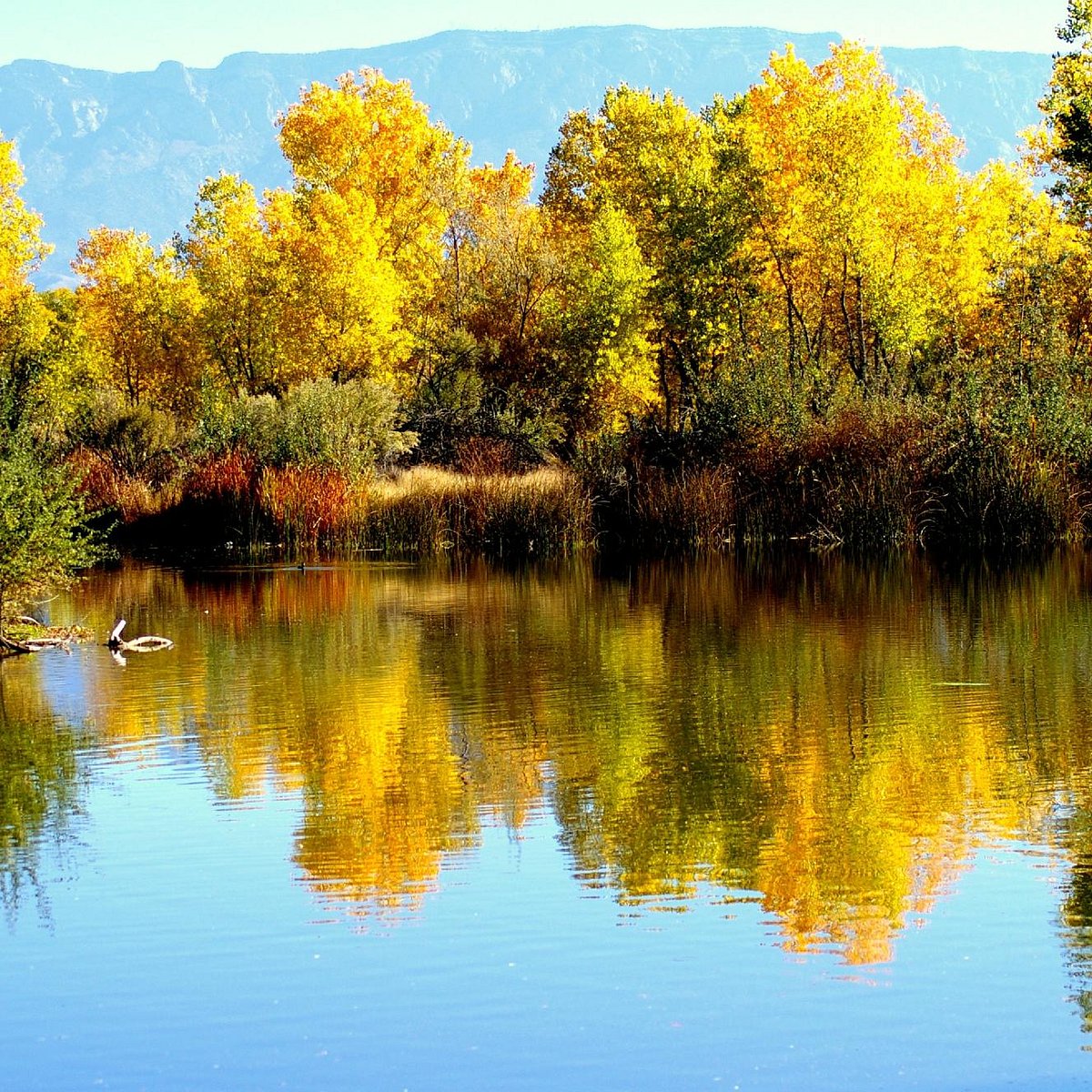 Rio Grande Nature Center State Park Albuquerque 22 All You Need To Know Before You Go With Photos Tripadvisor