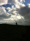 Stefano_C_1406