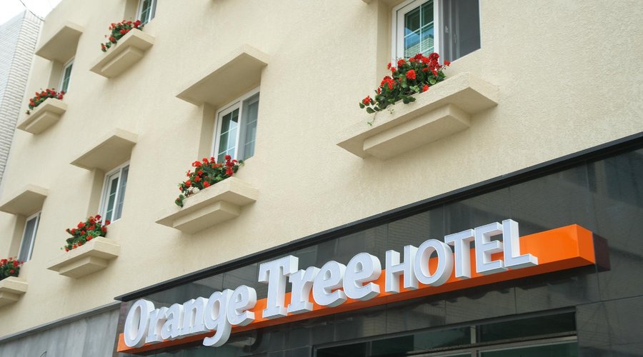 Orange Tree