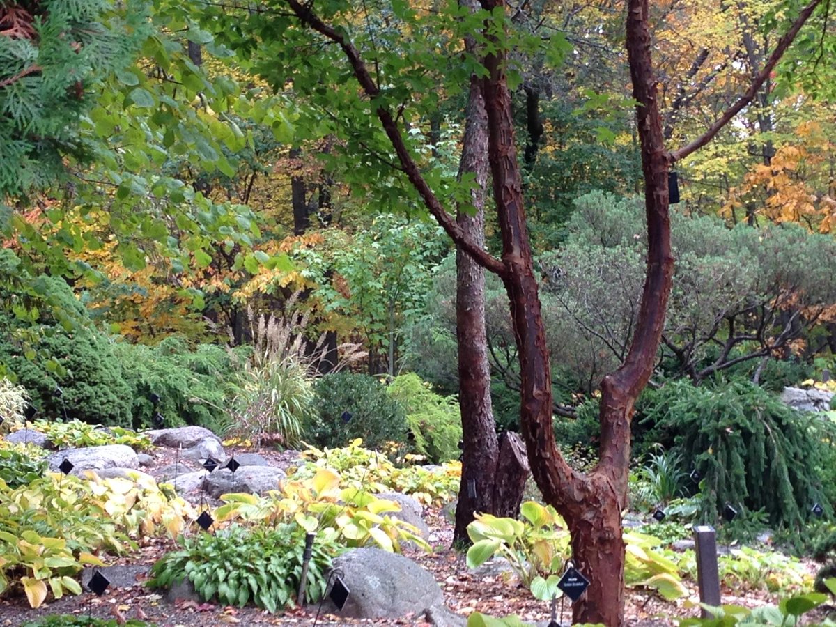 Hidden Lake Gardens MSU (@hiddenlkgardens) / X