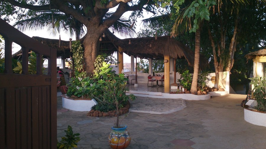 le Cormoran