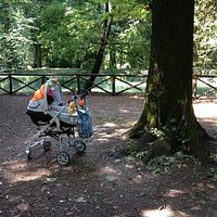 relax sotto gli alberi