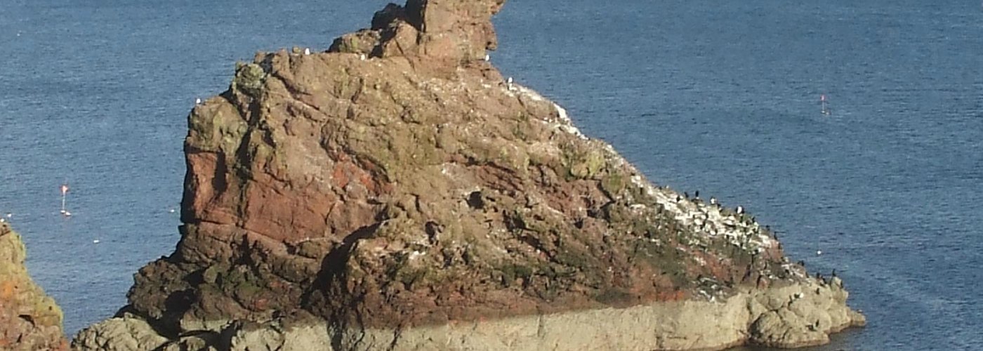 Clifftop walk