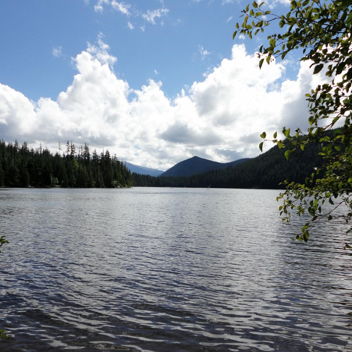 are dogs allowed at lost lake oregon