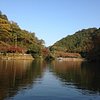 Things To Do in Lake Kamakita, Restaurants in Lake Kamakita