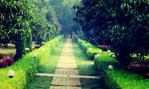 Long walks inside the property