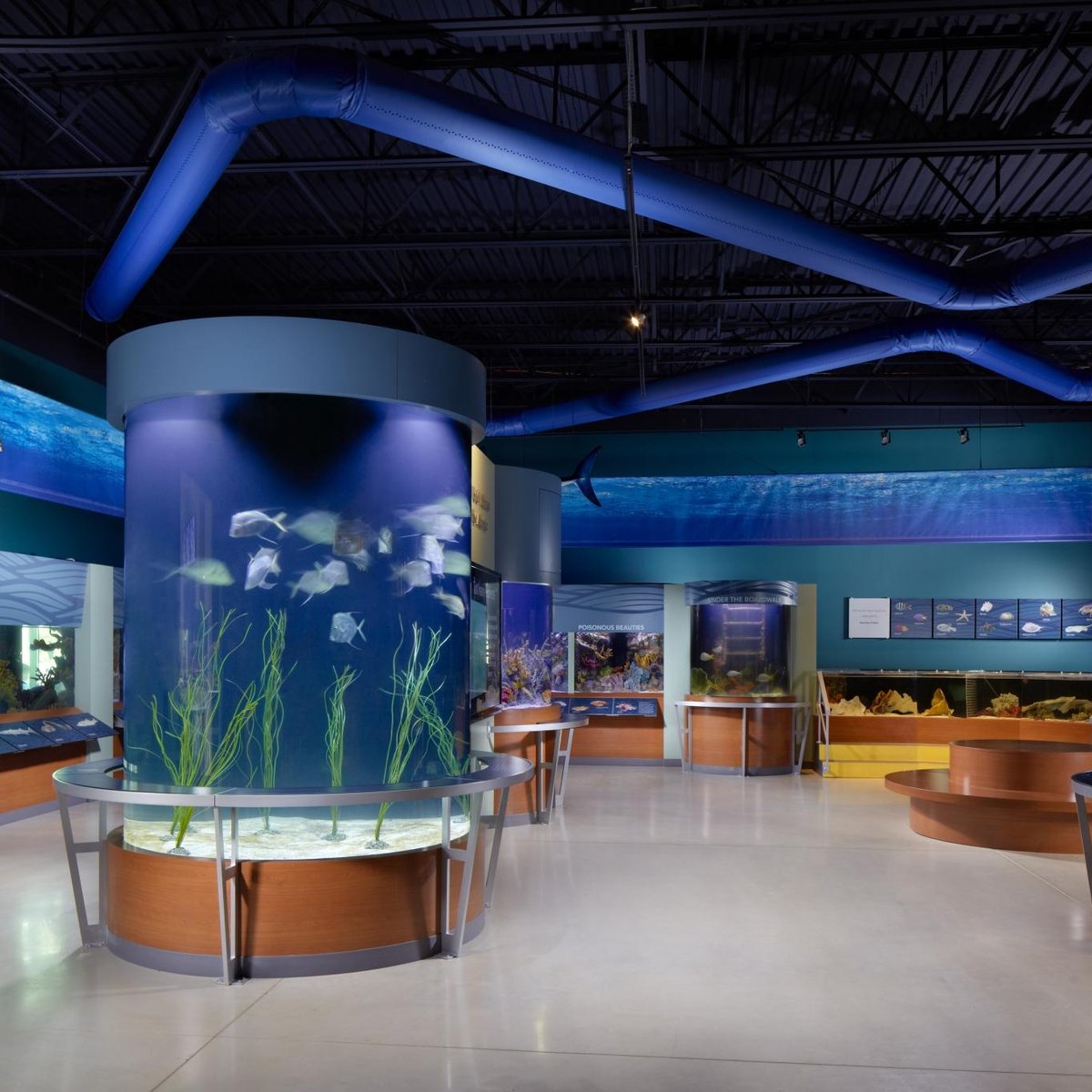 COX Science Center and Aquarium - Qué SABER antes de ir (ACTUALIZADO 2024)  - Tripadvisor