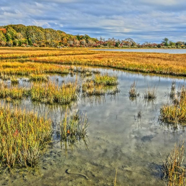 Horseneck Beach State Reservation (Westport) - All You Need to Know ...