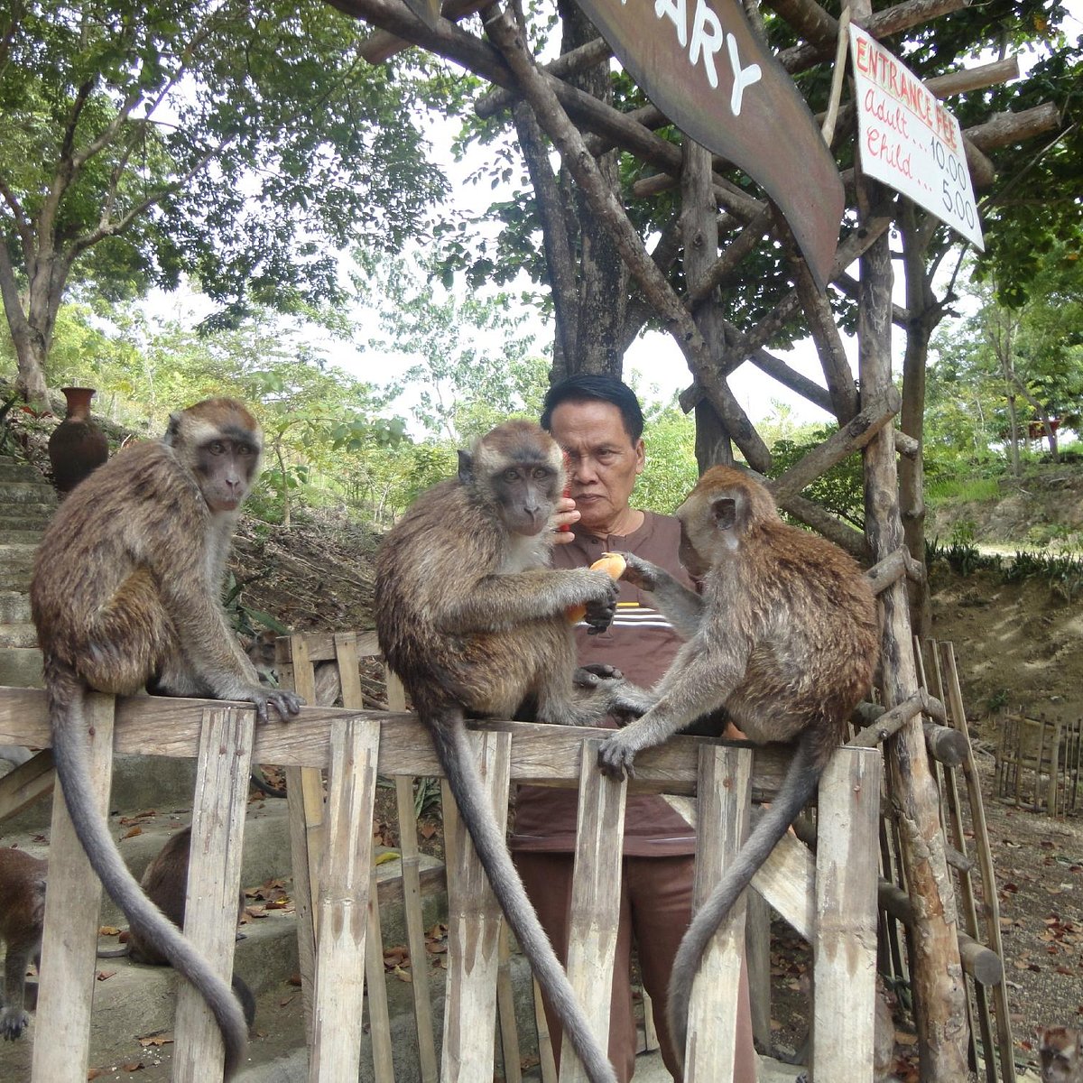 Monkey Sanctuary