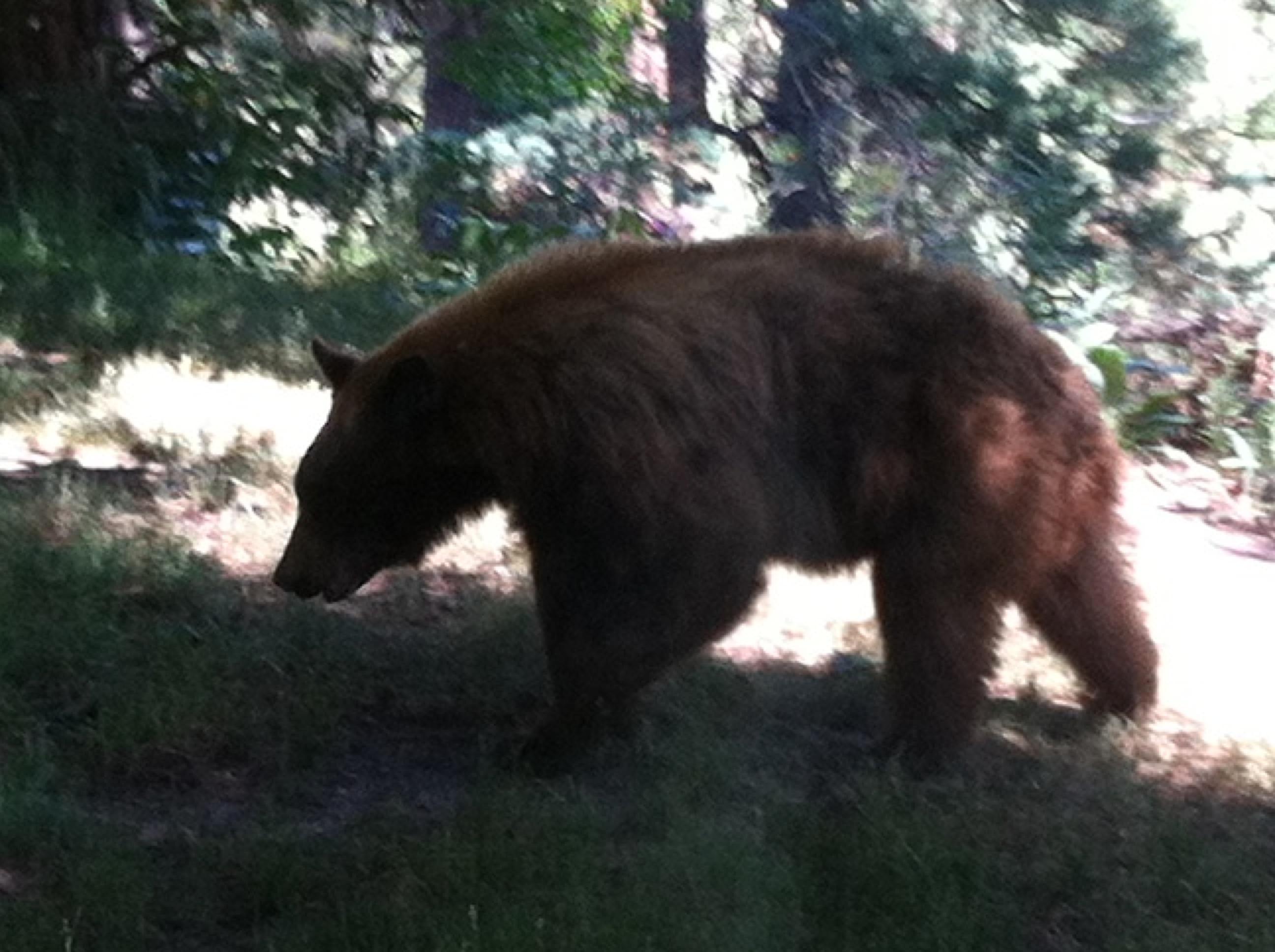 Rattlesnake National Recreation Area (Missoula) - All You Need to