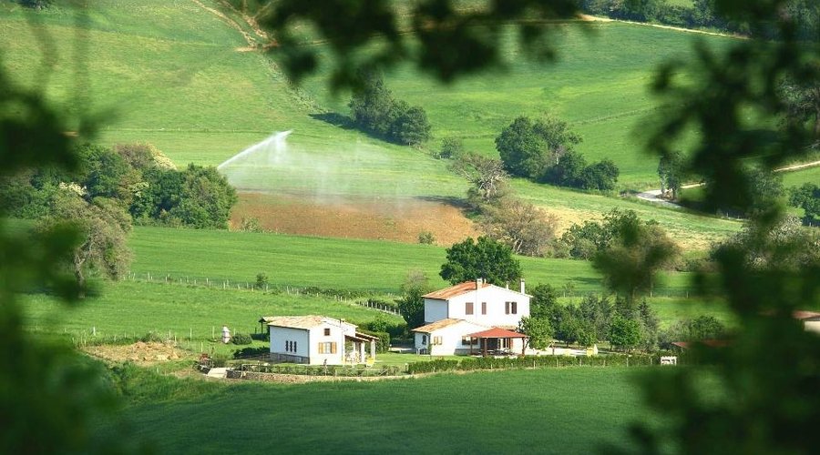 vista