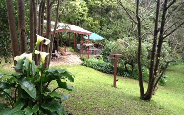 View from gate