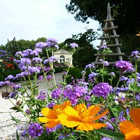 les fleurs