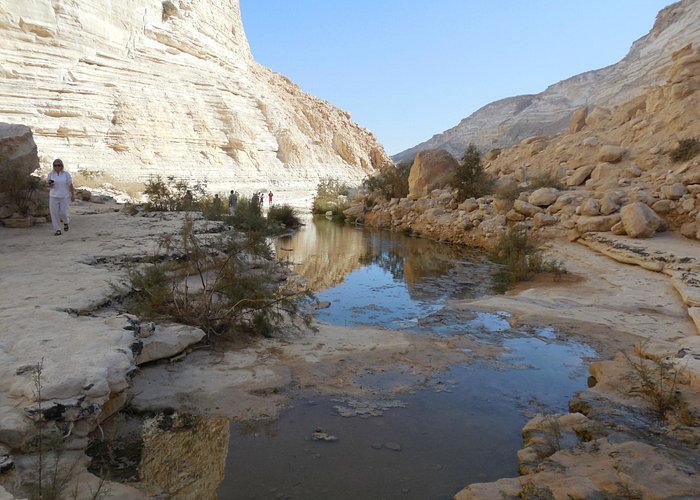 canyon d'Ein Avdat
