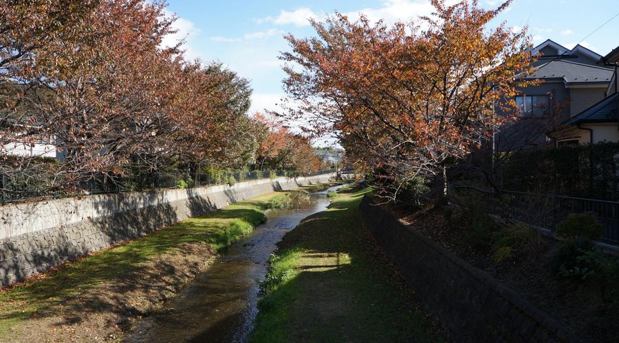 野川