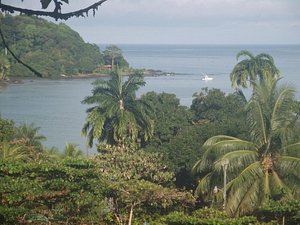 JADE MAR CABINS, COSTA RICA/DRAKE BAY: 185 fotos, comparação de
