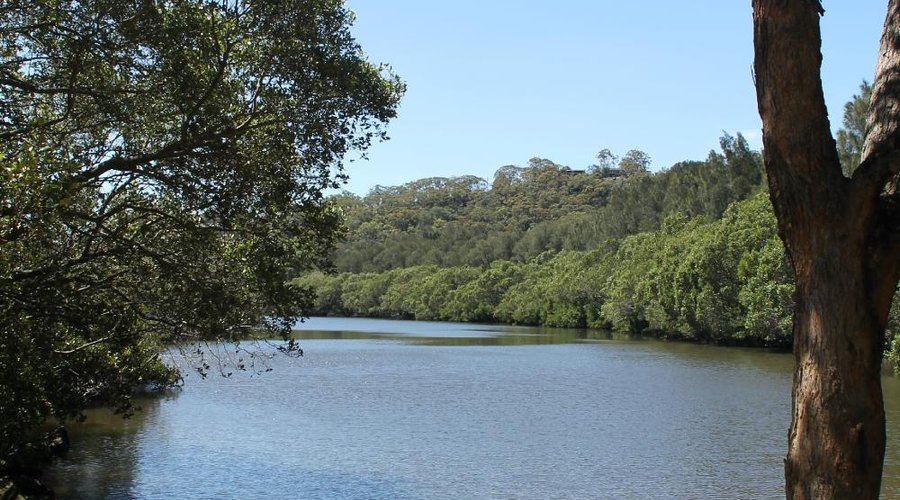 Picture of the river on a walk