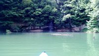 Escape to Paintsville Lake State Park: Your Kentucky Adventure Awaits!