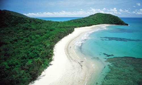 Cape Tribulation region