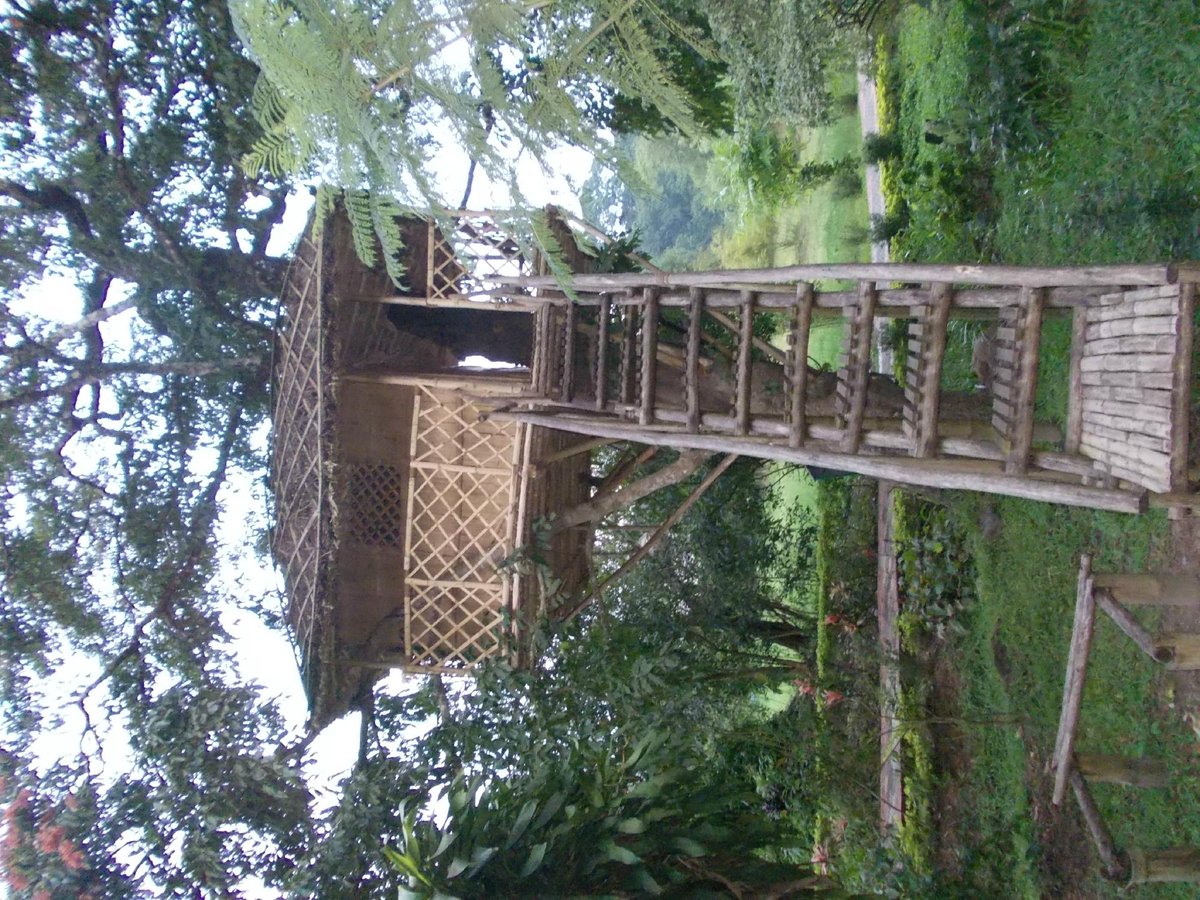 BAMBOO GROVE (Thekkady, Kerala) - Ranch Reviews & Photos - Tripadvisor