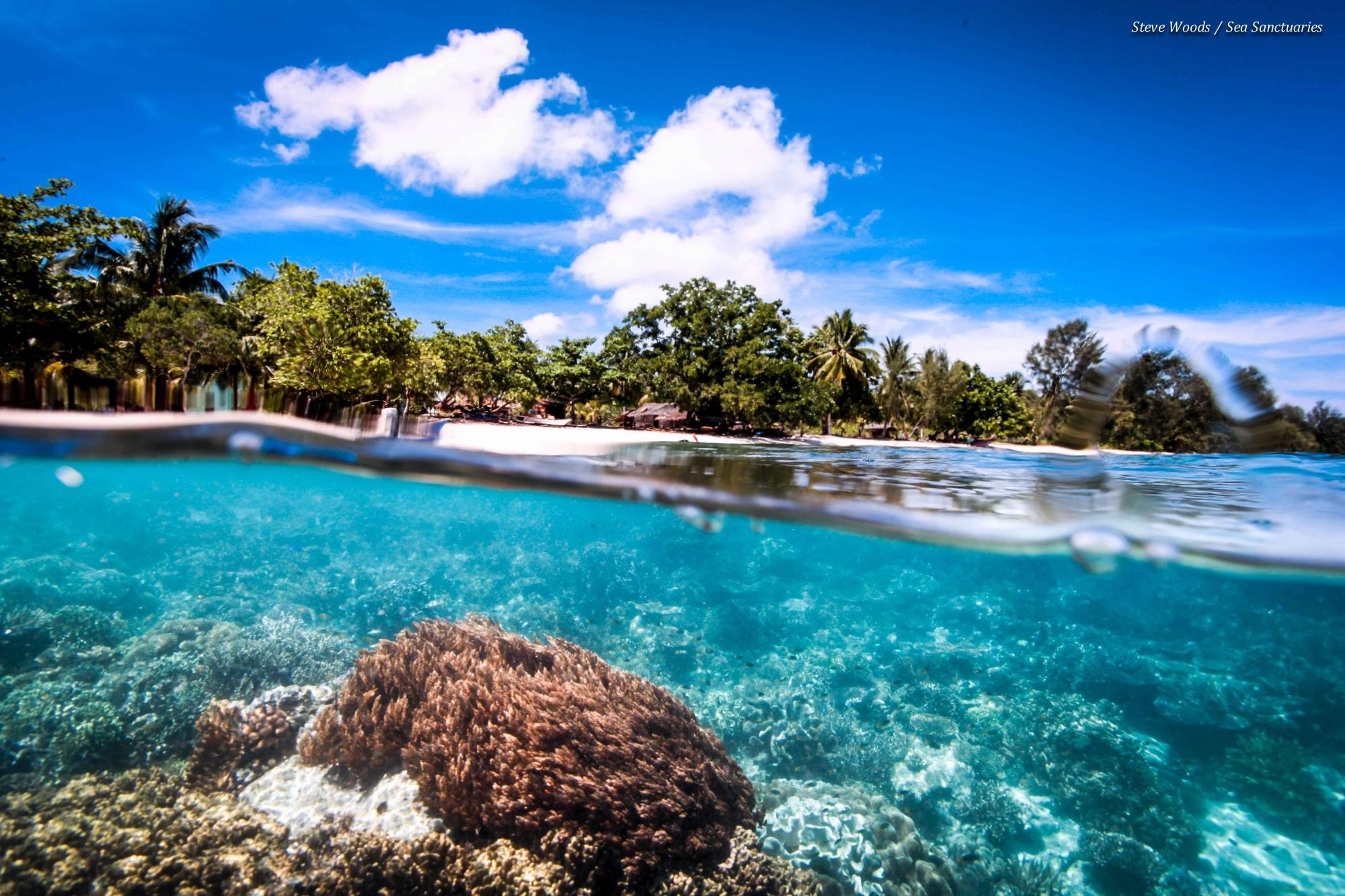 Sea Sanctuaries Trust (Raja Ampat) : 2022 Ce Qu'il Faut Savoir Pour ...